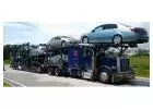 Open Car Shipping Service in The USA