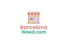 420 Barcelona - Barcelona Weed