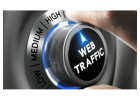 You need traffic to grow your business! We have it for just $39.95!