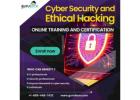 Top Cybersecurity Training: Start Your Ethical Hacking Journey